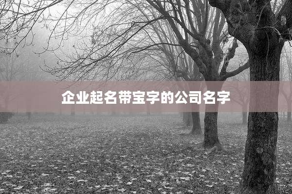 企业起名带宝字的公司名字