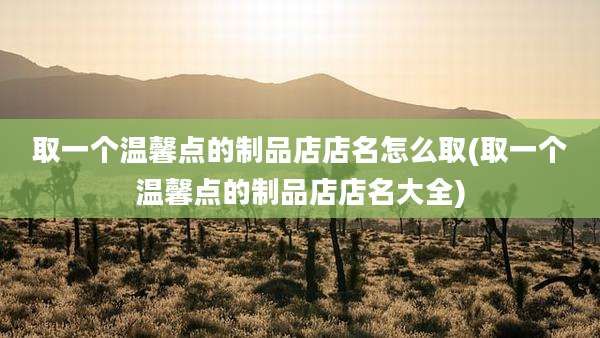 取一个温馨点的制品店店名怎么取(取一个温馨点的制品店店名大全)