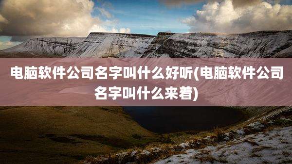 电脑软件公司名字叫什么好听(电脑软件公司名字叫什么来着)