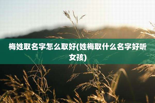 梅姓取名字怎么取好(姓梅取什么名字好听女孩)