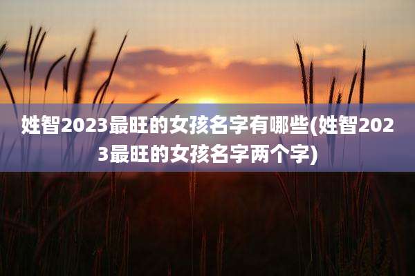 姓智2023最旺的女孩名字有哪些(姓智2023最旺的女孩名字两个字)