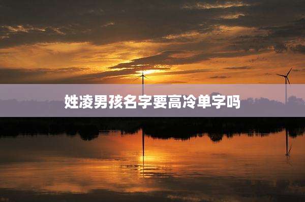 姓凌男孩名字要高冷单字吗