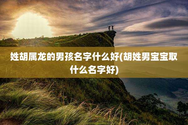 姓胡属龙的男孩名字什么好(胡姓男宝宝取什么名字好)