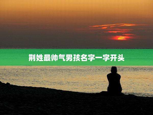 荆姓最帅气男孩名字一字开头