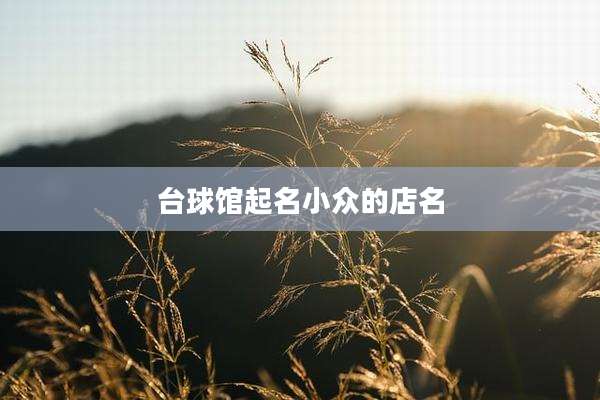 台球馆起名小众的店名