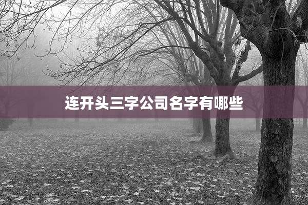 连开头三字公司名字有哪些