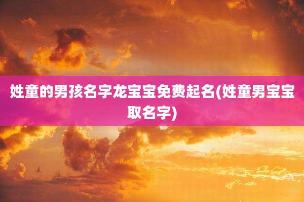 姓童的男孩名字龙宝宝免费起名(姓童男宝宝取名字)