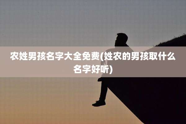 农姓男孩名字大全免费(姓农的男孩取什么名字好听)