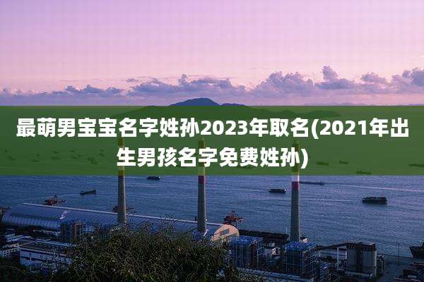 最萌男宝宝名字姓孙2023年取名(2021年出生男孩名字免费姓孙)