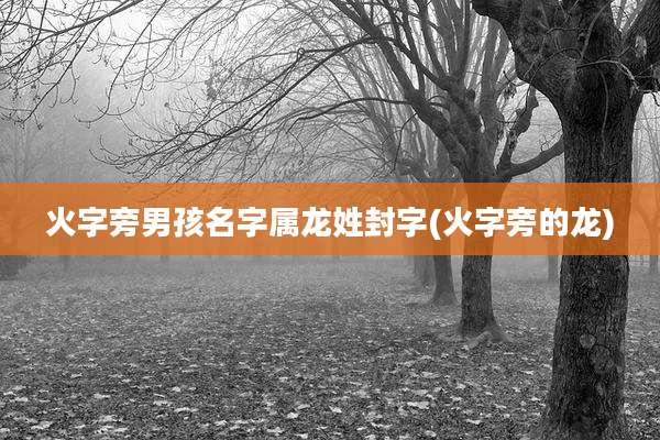 火字旁男孩名字属龙姓封字(火字旁的龙)
