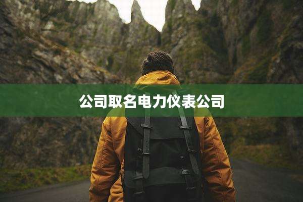 公司取名电力仪表公司