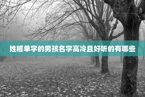 姓稽单字的男孩名字高冷且好听的有哪些
