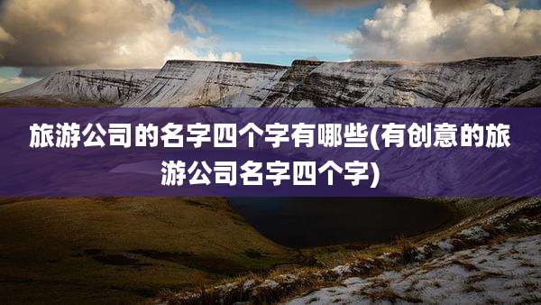 旅游公司的名字四个字有哪些(有创意的旅游公司名字四个字)