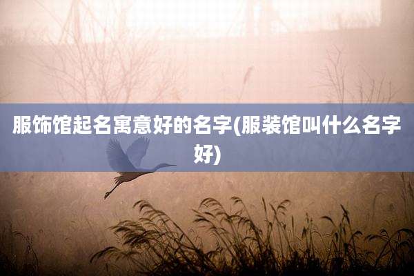 服饰馆起名寓意好的名字(服装馆叫什么名字好)