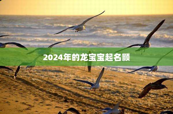 2024年的龙宝宝起名颢
