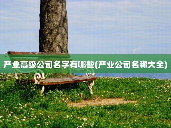 产业高级公司名字有哪些(产业公司名称大全)