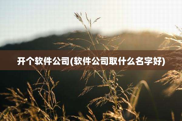 开个软件公司(软件公司取什么名字好)