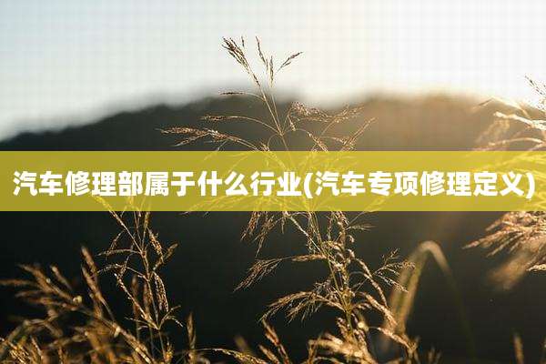 汽车修理部属于什么行业(汽车专项修理定义)