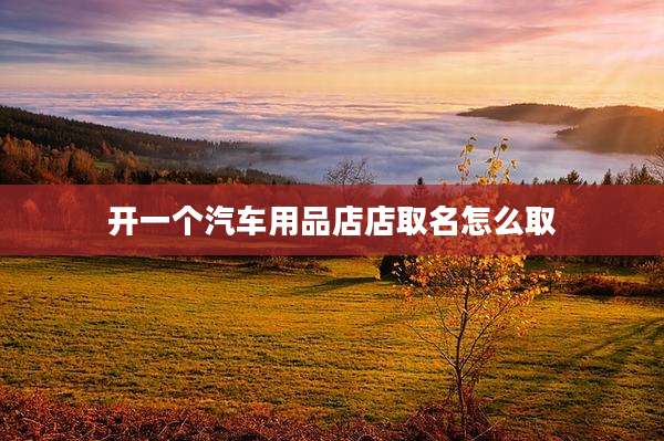 开一个汽车用品店店取名怎么取