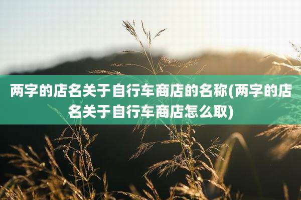 两字的店名关于自行车商店的名称(两字的店名关于自行车商店怎么取)