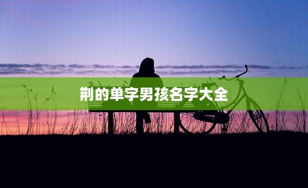荆的单字男孩名字大全