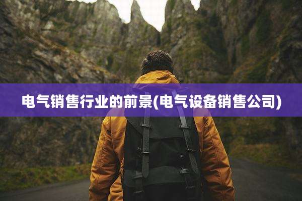 电气销售行业的前景(电气设备销售公司)