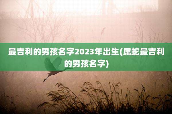 最吉利的男孩名字2023年出生(属蛇最吉利的男孩名字)
