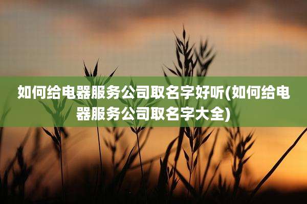如何给电器服务公司取名字好听(如何给电器服务公司取名字大全)