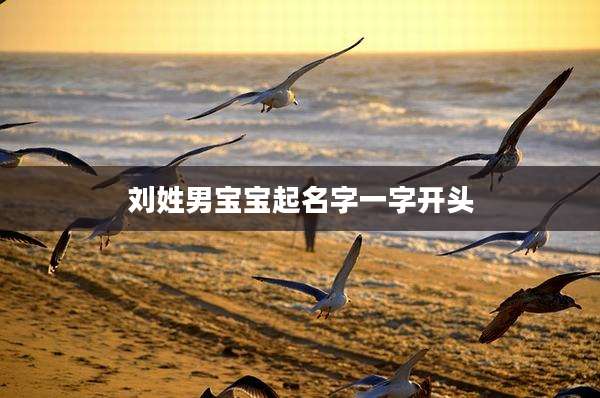 刘姓男宝宝起名字一字开头