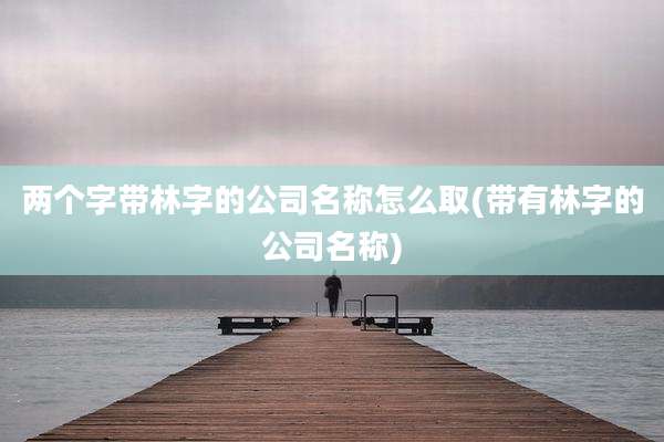 两个字带林字的公司名称怎么取(带有林字的公司名称)