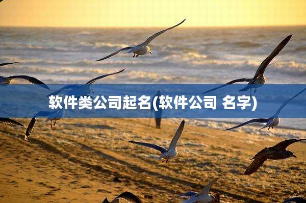 软件类公司起名(软件公司 名字)