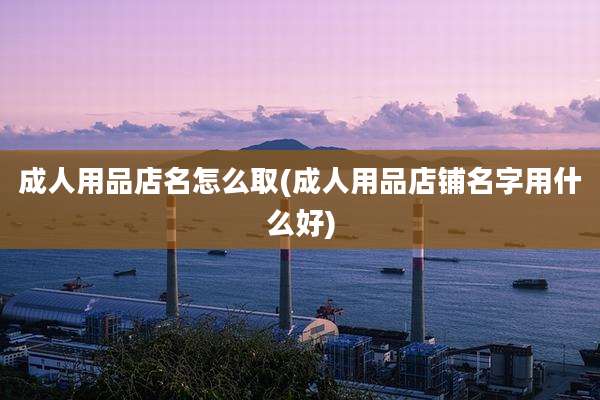 成人用品店名怎么取(成人用品店铺名字用什么好)