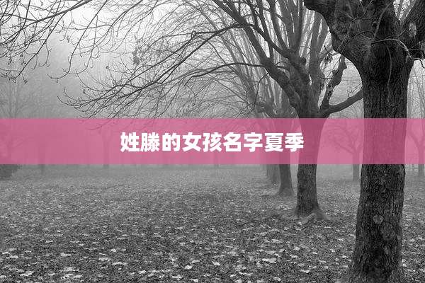 姓滕的女孩名字夏季
