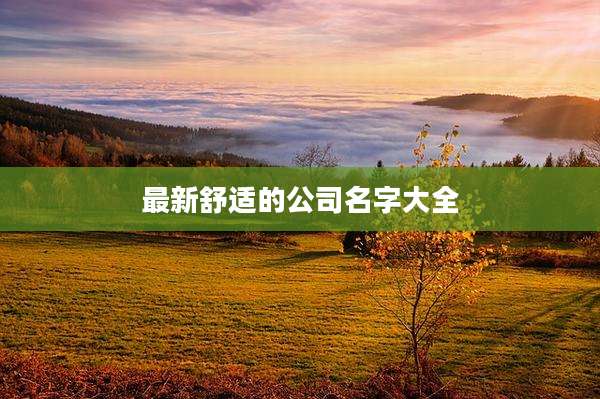 最新舒适的公司名字大全