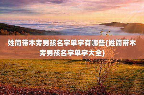姓简带木旁男孩名字单字有哪些(姓简带木旁男孩名字单字大全)