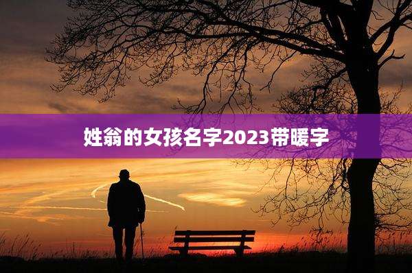 姓翁的女孩名字2023带暖字