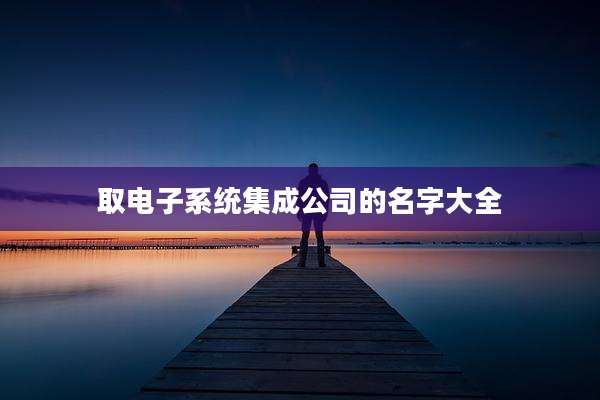 取电子系统集成公司的名字大全