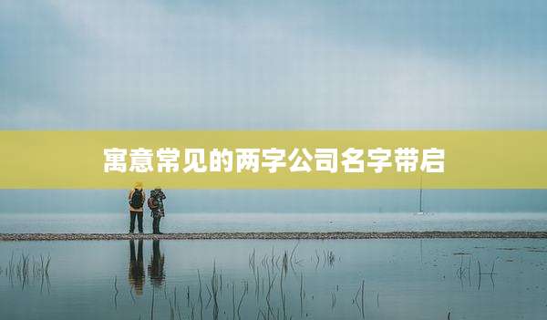 寓意常见的两字公司名字带启
