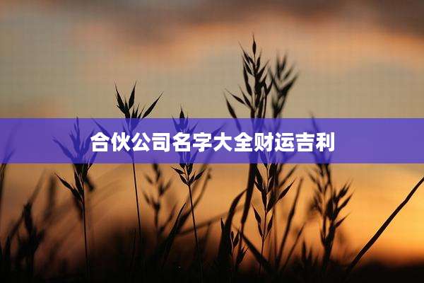 合伙公司名字大全财运吉利