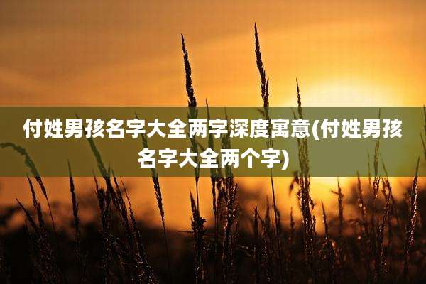 付姓男孩名字大全两字深度寓意(付姓男孩名字大全两个字)