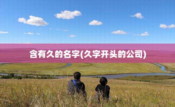 含有久的名字(久字开头的公司)