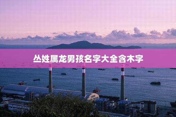 丛姓属龙男孩名字大全含木字