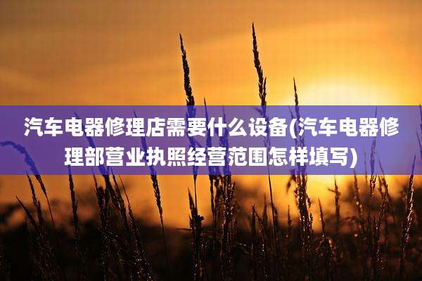 汽车电器修理店需要什么设备(汽车电器修理部营业执照经营范围怎样填写)