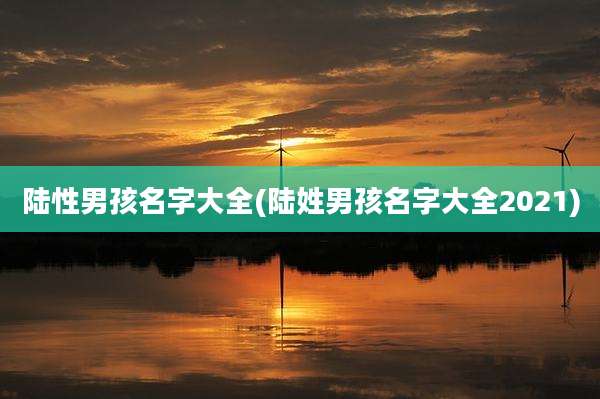 陆性男孩名字大全(陆姓男孩名字大全2021)