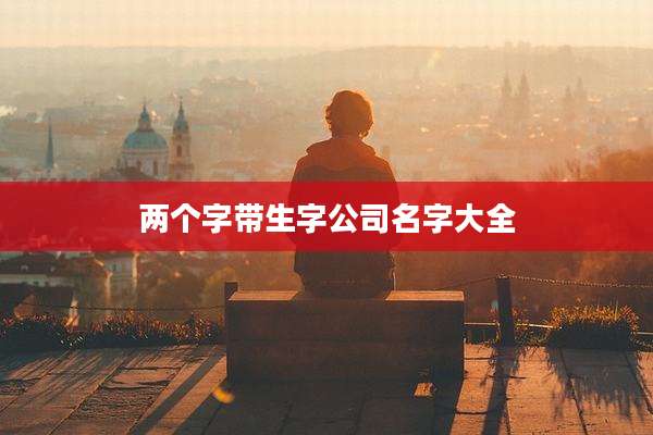 两个字带生字公司名字大全