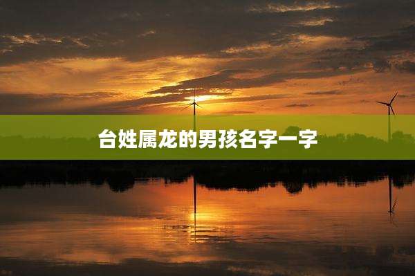 台姓属龙的男孩名字一字