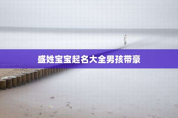 盛姓宝宝起名大全男孩带豪
