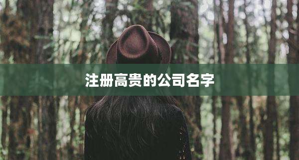 注册高贵的公司名字