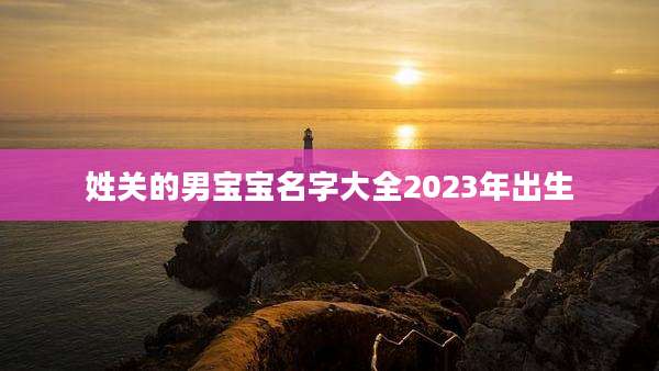 姓关的男宝宝名字大全2023年出生