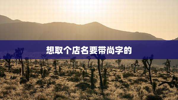 想取个店名要带尚字的